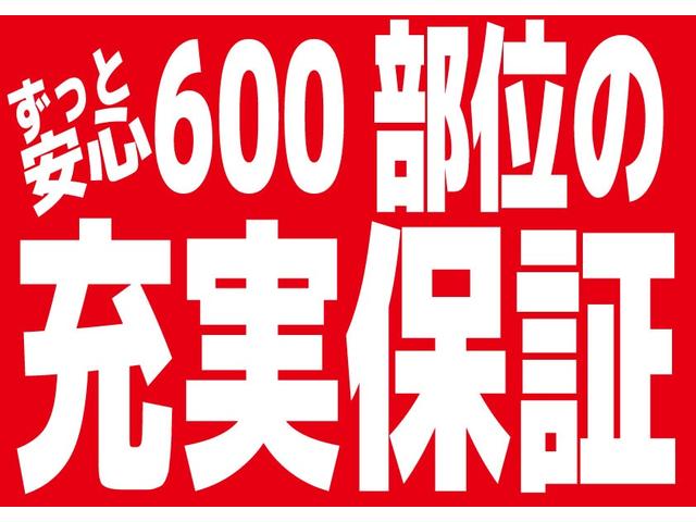 ステップワゴンスパーダ  ギャザーズSDナビ CDDVD再生バックカメラ 両側パワースライドドア クルーズコントロール 前後ドラレコ HIDオートライト ETC アイドリングストップ 横滑り防止(28枚目)