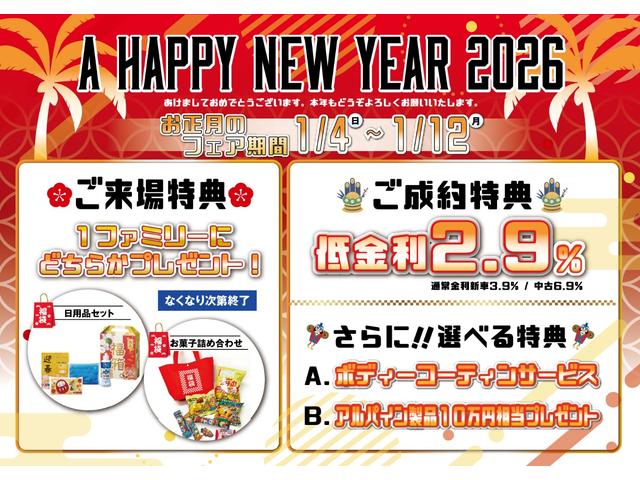 ライズ Ｇ　Ｈａｖａｎａ　特別仕様車Ｆｒｕｉｔｙ　Ｐｏｐ　Ｃａｌ‘ｓＭｏｔｏｒ　ＡＬＰＩＮＥ９インチナビ　　ＥＴＣ　シーケンシャル　ＬＥＤライト　クリアランスソナー　メティオサウンド　ライティンググリルキット（3枚目）