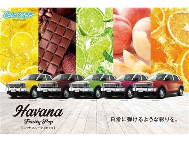 ライズ Ｇ　Ｈａｖａｎａ　特別仕様車Ｆｒｕｉｔｙ　Ｐｏｐ　Ｃａｌ‘ｓＭｏｔｏｒ　ＡＬＰＩＮＥ９インチナビ　　ＥＴＣ　シーケンシャル　ＬＥＤライト　クリアランスソナー　メティオサウンド　ライティンググリルキット（5枚目）