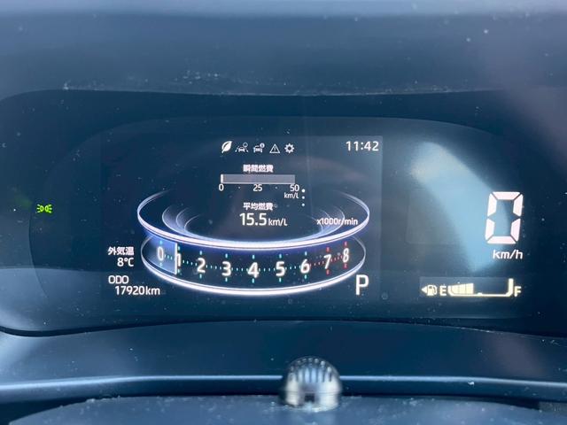 ライズ Ｇ　Ｈａｖａｎａ　特別仕様車Ｆｒｕｉｔｙ　Ｐｏｐ　Ｃａｌ‘ｓＭｏｔｏｒ　ＡＬＰＩＮＥ９インチナビ　　ＥＴＣ　シーケンシャル　ＬＥＤライト　クリアランスソナー　メティオサウンド　ライティンググリルキット（29枚目）