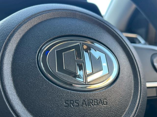 ライズ Ｇ　Ｈａｖａｎａ　特別仕様車Ｆｒｕｉｔｙ　Ｐｏｐ　Ｃａｌ‘ｓＭｏｔｏｒ　ＡＬＰＩＮＥ９インチナビ　　ＥＴＣ　シーケンシャル　ＬＥＤライト　クリアランスソナー　メティオサウンド　ライティンググリルキット（32枚目）