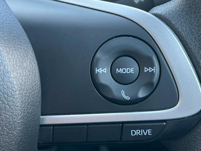 ライズ Ｇ　Ｈａｖａｎａ　特別仕様車Ｆｒｕｉｔｙ　Ｐｏｐ　Ｃａｌ‘ｓＭｏｔｏｒ　ＡＬＰＩＮＥ９インチナビ　　ＥＴＣ　シーケンシャル　ＬＥＤライト　クリアランスソナー　メティオサウンド　ライティンググリルキット（34枚目）