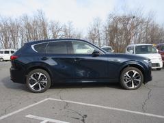 �ãءݣ��� �أġݥϥ��֥�åɡ����������롼���֥���󡡣��ףġ�����롼�ա���ץ����� 0900731A30251224W004 7