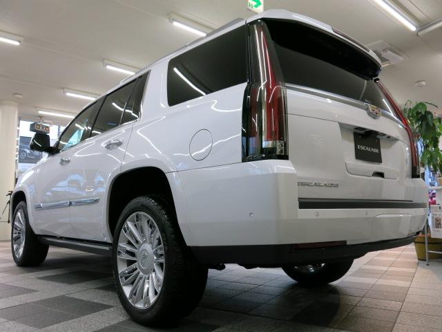 プラチナム D車 1オナ Tブラウン革S GSR Mケア付帯(9枚目)