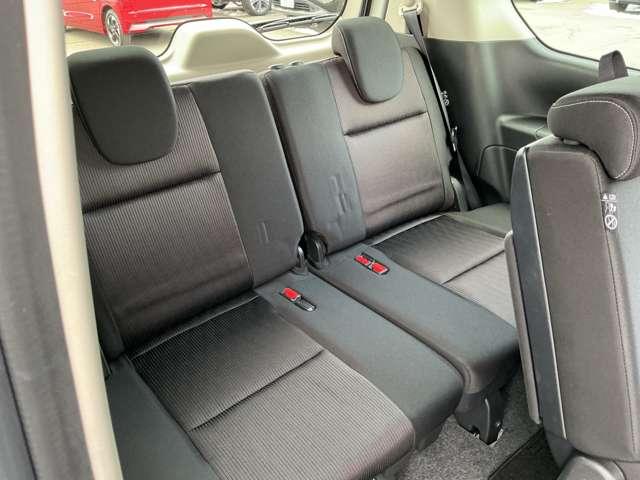 セレナ ２．０　ハイウェイスター　プロパイロット　エディション　プロパイロット搭載　カーテンエアバック　盗難防止装置　ＬＤＷ　アダクティブクルーズコントロール　ワンオーナー　ＥＴＣ車載器　ワンセグＴＶ　メモリナビ　ナビＴＶ　アルミホイール　パワーウィンドウ　ＡＢＳ（22枚目）