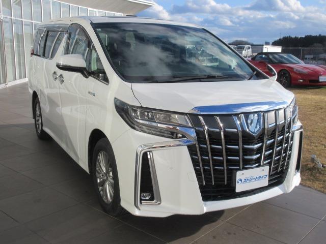 �X�g���[�g���C�t�Ί��X�́A�w�����S�T���������I�Ί�����h�b�E�Ί��͓�h�b����ԂŖ�U���x�ł���