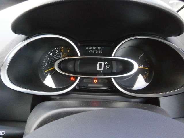 ルーテシア ゼン(17枚目)