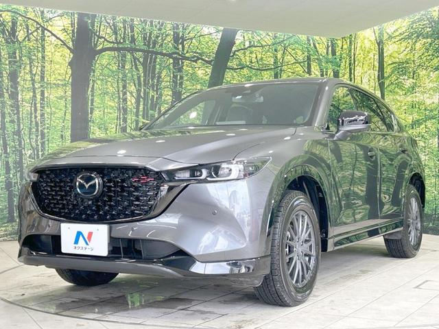 ＣＸ－５ ２５Ｓ　スポーツアピアランス　禁煙車　衝突軽減装置　純正１０型ナビ　全周囲カメラ　レーダークルーズ　パワーバックドア　ステアリングヒーター　Ｂｌｕｅｔｏｏｔｈ再生　ＬＥＤヘッド　グレード専用１９インチＡＷ　全席シートヒーター（63枚目）