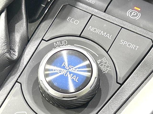 ＲＡＶ４ アドベンチャー　４ＷＤ　純正９型ＳＤナビ　バックカメラ　寒冷地仕様　衝突被害軽減システム　レーダークルーズ　禁煙車　ハーフレザーシート　前席シートエアコン　パワーシート　ドラレコ　コーナーセンサー　スマートキー（46枚目）