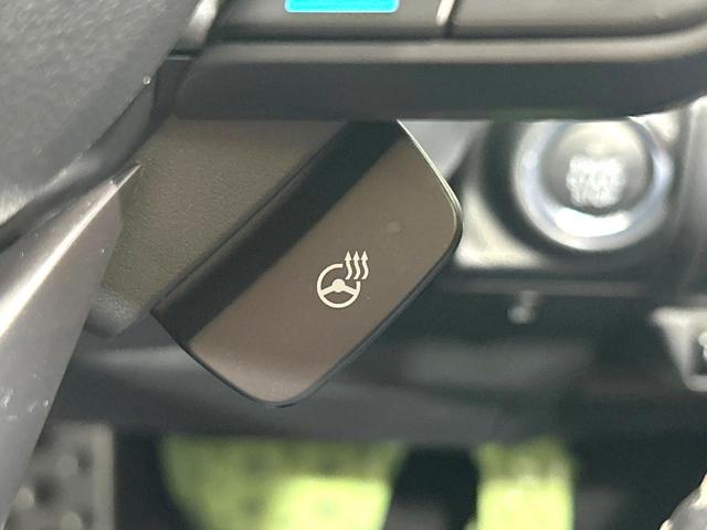 フォレスター アドバンス 4WD 禁煙車 純正8型ナビ 衝突軽減装置 レーダークルーズ バックカメラ シートヒーター ステアリングヒーター パワーバックドア ブラインドスポットモニター ETC 純正18インチAW オートライト(49枚目)