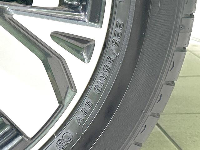 フォレスター アドバンス 4WD 禁煙車 純正8型ナビ 衝突軽減装置 レーダークルーズ バックカメラ シートヒーター ステアリングヒーター パワーバックドア ブラインドスポットモニター ETC 純正18インチAW オートライト(60枚目)