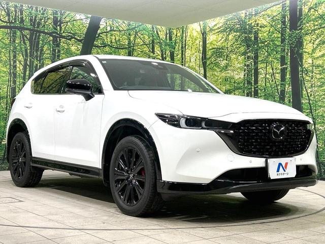 ＣＸ－５ ＸＤ　スポーツアピアランス　後期型　禁煙車　メーカーナビ　全周囲カメラ　黒革　シートヒーター　衝突被害軽減装置　レーダークルーズコントロール　コーナーセンサー　ＬＥＤヘッドライト　パワーバックドア　パワーシート　１９インチアルミ（62枚目）