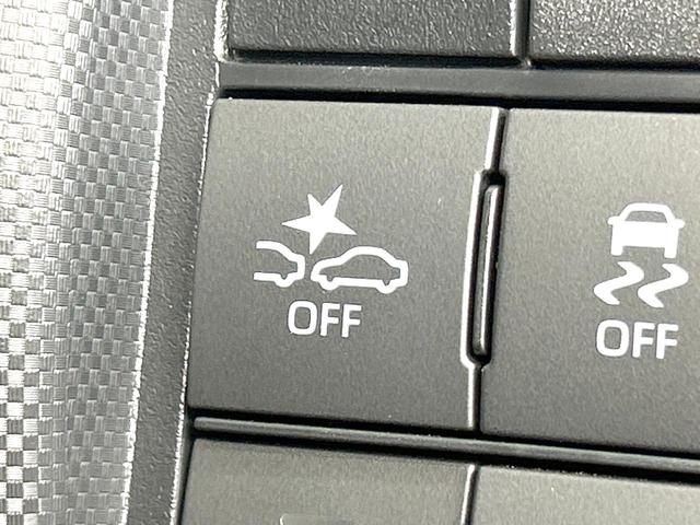 ライズ X 禁煙車 SDナビ バックカメラ 衝突軽減装置 Bluetooth ドラレコ スマートキー LEDヘッド ETC オートマチックハイビーム オートライト フルセグ プライバシーG 盗難防止システム(49枚目)