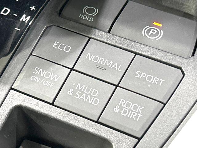 RAV4 G 4WD 禁煙車 9型ナビ付ディスプレイオーディオ 全周囲カメラ 寒冷地仕様 AC100V 衝突軽減装置 レーダークルーズ ステアリングヒーター パワーバックドア LEDヘッド オートライト(58枚目)