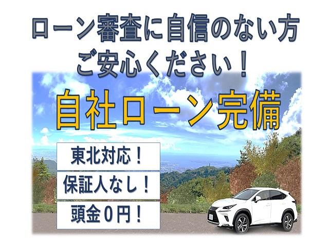 ライダー　ナビ　バックカメラ　メッキアルミ　ＥＴＣ(60枚目)