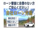 ライダー　ナビ　バックカメラ　メッキアルミ　ＥＴＣ(60枚目)