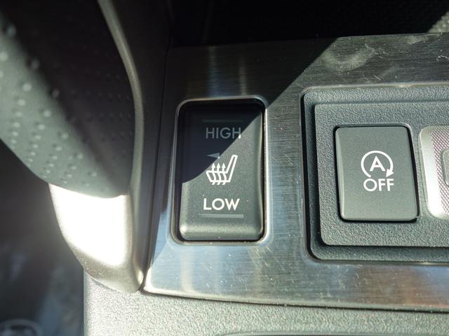 フォレスター S-Limited EyeSight搭載車 ナビ Rカメラ ナビゲーション Rカメラ ETC ドライブレコーダー LEDアクセサリーライナー STIフレキシブルタワーバー ドアバイザー パワーリヤゲート STIリヤアンダースポイラー アイサイトVer.3(25枚目)