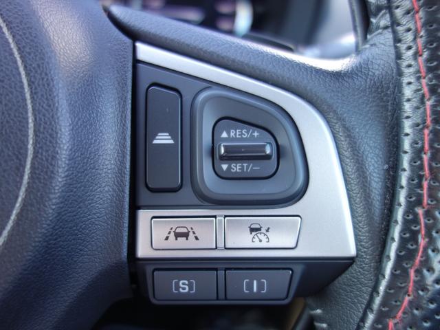 フォレスター S-Limited EyeSight搭載車 ナビ Rカメラ ナビゲーション Rカメラ ETC ドライブレコーダー LEDアクセサリーライナー STIフレキシブルタワーバー ドアバイザー パワーリヤゲート STIリヤアンダースポイラー アイサイトVer.3(32枚目)