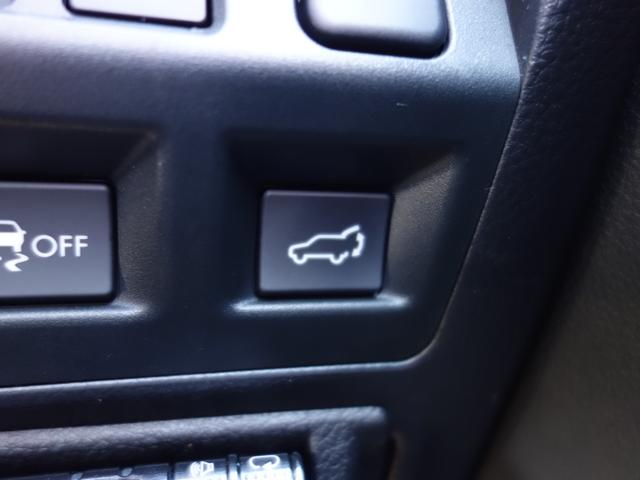 フォレスター S-Limited EyeSight搭載車 ナビ Rカメラ ナビゲーション Rカメラ ETC ドライブレコーダー LEDアクセサリーライナー STIフレキシブルタワーバー ドアバイザー パワーリヤゲート STIリヤアンダースポイラー アイサイトVer.3(40枚目)