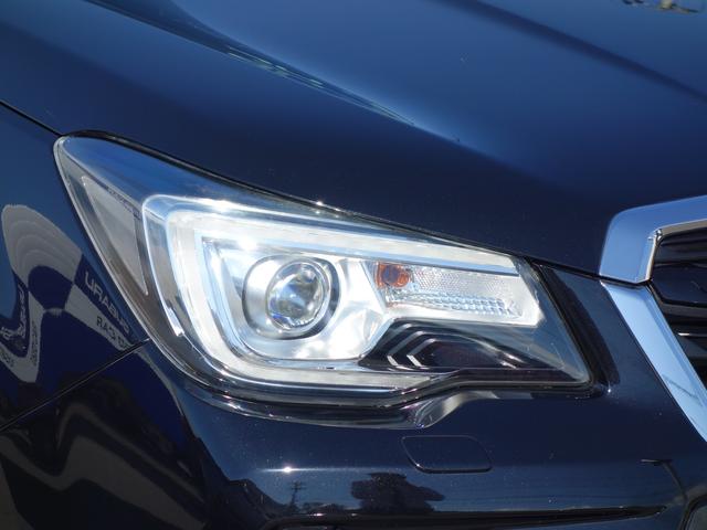 フォレスター S-Limited EyeSight搭載車 ナビ Rカメラ ナビゲーション Rカメラ ETC ドライブレコーダー LEDアクセサリーライナー STIフレキシブルタワーバー ドアバイザー パワーリヤゲート STIリヤアンダースポイラー アイサイトVer.3(64枚目)