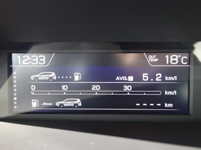 フォレスター Advance EyeSight搭載車 ナビ Rカメラ ナビゲーション Rカメラ ETC ドライブレコーダー リヤエンターテイメント LEDアクセサリーライナー ドアバイザー ドアハンドルプロテクター パワーリヤゲート アイサイトVer.3(15枚目)