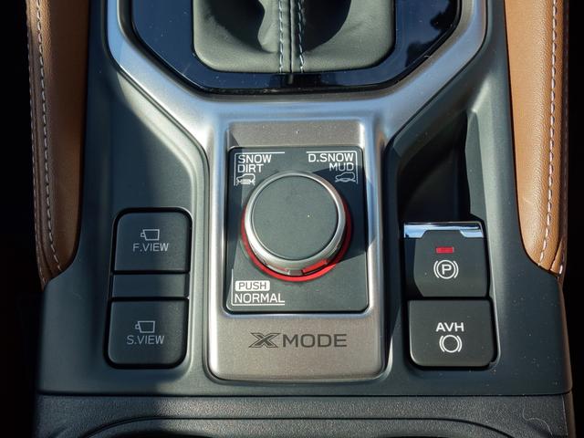 フォレスター Advance EyeSight搭載車 ナビ Rカメラ ナビゲーション Rカメラ ETC ドライブレコーダー リヤエンターテイメント LEDアクセサリーライナー ドアバイザー ドアハンドルプロテクター パワーリヤゲート アイサイトVer.3(25枚目)