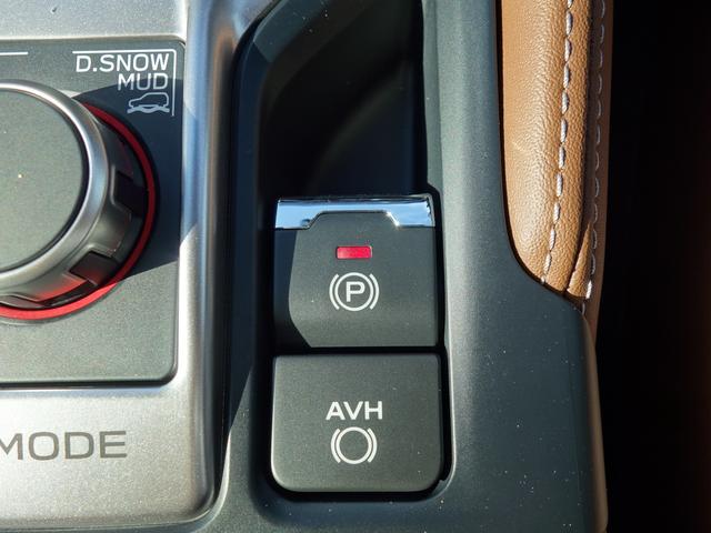 フォレスター Advance EyeSight搭載車 ナビ Rカメラ ナビゲーション Rカメラ ETC ドライブレコーダー リヤエンターテイメント LEDアクセサリーライナー ドアバイザー ドアハンドルプロテクター パワーリヤゲート アイサイトVer.3(28枚目)