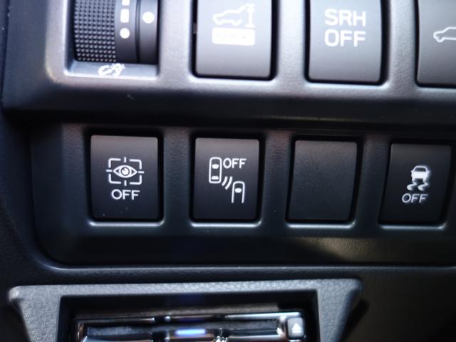 フォレスター Advance EyeSight搭載車 ナビ Rカメラ ナビゲーション Rカメラ ETC ドライブレコーダー リヤエンターテイメント LEDアクセサリーライナー ドアバイザー ドアハンドルプロテクター パワーリヤゲート アイサイトVer.3(46枚目)