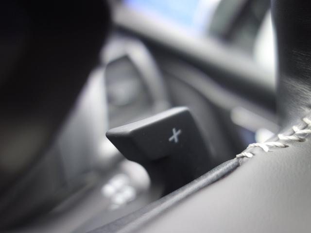 フォレスター Ａｄｖａｎｃｅ（18枚目）