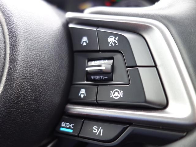 フォレスター Ａｄｖａｎｃｅ（24枚目）