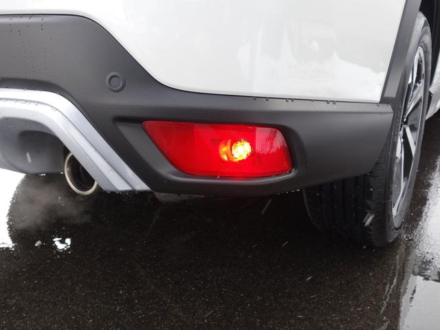 フォレスター Ａｄｖａｎｃｅ（45枚目）