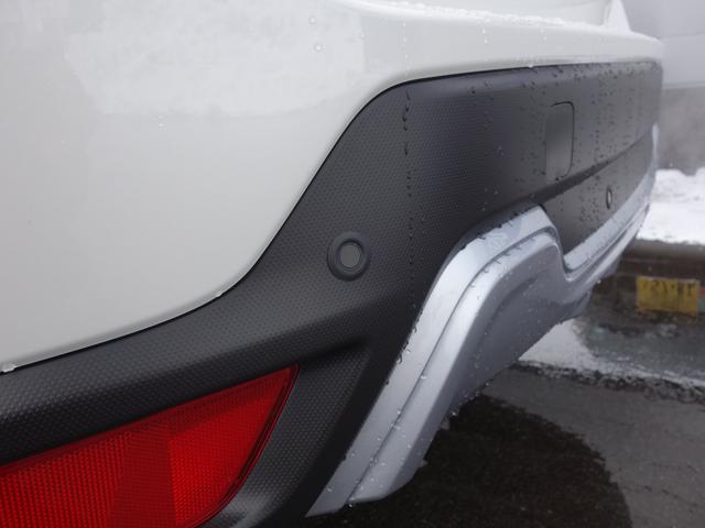 フォレスター Ａｄｖａｎｃｅ（46枚目）