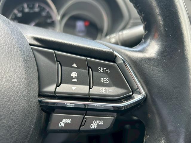 ＣＸ－８ ＸＤプロアクティブ　１オーナー車／４ＷＤ／Ｂｌｕｅｔｏｏｔｈ対応ＳＤナビＴＶ／全方位カメラ／パワーシート／シートヒーター／ステアヒーター／レーダークルコン／レーンキープ／コーナーセンサー／ＬＥＤヘッドライト／社外２０ＡＷ（24枚目）
