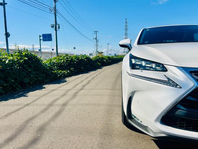 NX NX200t Iパッケージ 4WD/サンルーフ/ブラウンレザーシート/BT対応SDナビTV/B・Sカメラ/パワーバックドア/パワーシート/シートヒーター/ステアヒーター/クルコン/純正E/Gスターター/ETC/純正18AW(10枚目)