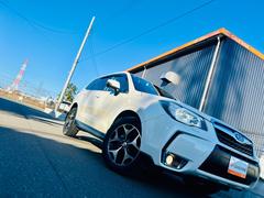 ���ο��ϥ��Х�Ρإ��ꥹ����ۥ磻�ȥѡ���٤Ȥ����ѡ��뿧�Ǥ������줤�ʥѡ��뿧��˰������ʤ����顼�Ǥ�äȤ�͵��Υ��顼�ˤʤ�ޤ��� 2