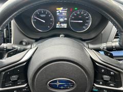 ʥѥɥ륷եդޥ˥奢Τ褦ʥݡƥƸǤޤޤĹƻʤɤΥ󥸥֥졼򤫤ʤɡ⥢åפǤ 6