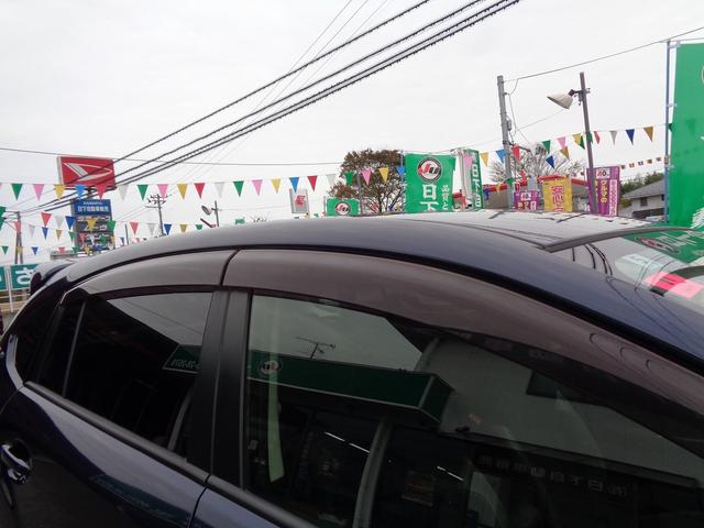 あると便利なドアバイザーもついてます