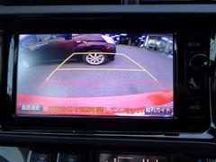 �Хå���˥����Ǹ����ξ㳲ʪ�ʤɤ��ǧ�Ǥ���Τǰ¿��Ǥ� 3