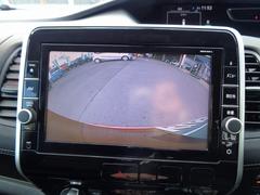 �Хå���˥����Ǹ����ξ㳲ʪ�ʤɤ��ǧ�Ǥ���Τǰ¿��Ǥ� 3