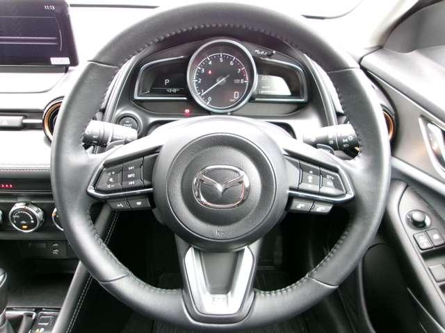 �y�X�e�A�����O�n���h���z�{�v�����̃X�e�����O�ɂȂ��Ă���܂��B