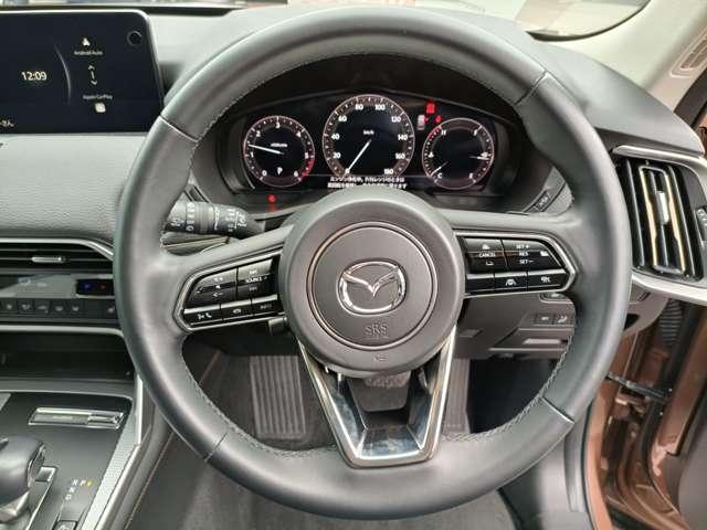 �y�X�e�A�����O�n���h���z