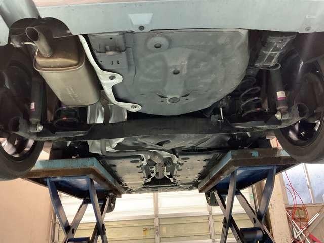 �����i�}�t���[���j�̂��ʐ^�ł����@�����̎K�~�߂Ƌ��ɁA�N�P��̎{�H�ڈ��̃}�t���[�h�K�Ŗ��N�����e�i���X����ƒ��������܂��i�O�n�O�j