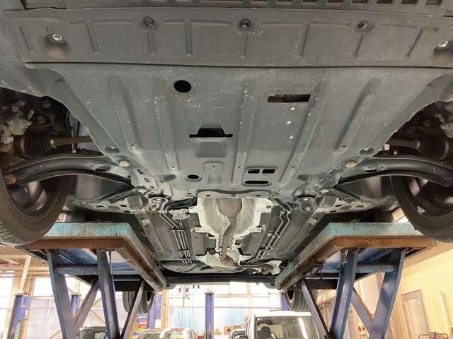 �����i�t�����g���j�̂��ʐ^�ł���