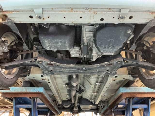 �����i�t�����g���j�̂��ʐ^�ł���