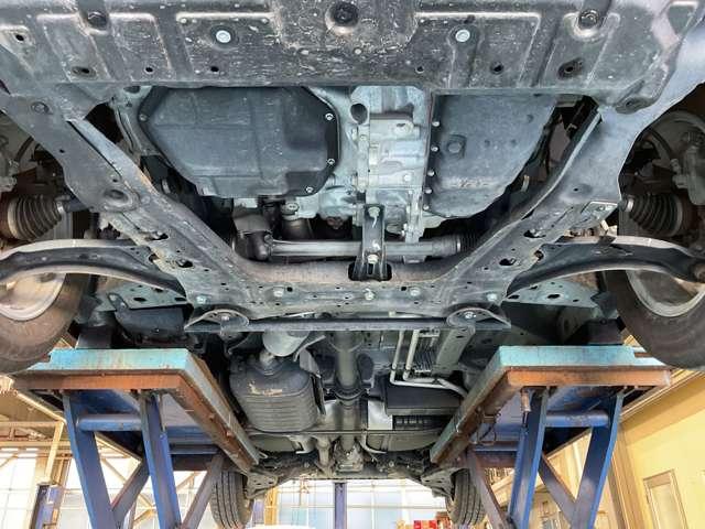 �����i�t�����g���j�̂��ʐ^�ł���