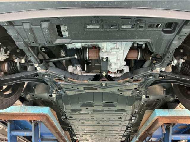 �����̂��ʐ^�ł���