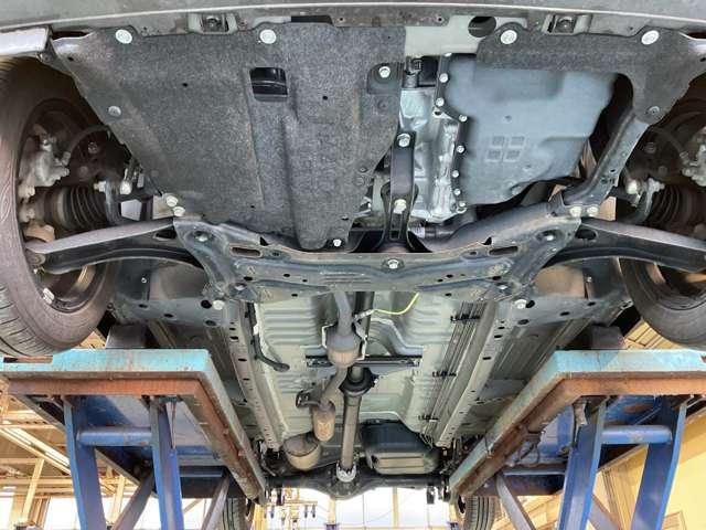 �����i�t�����g���j�̂��ʐ^�ł���