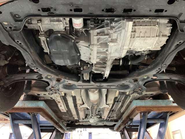 �����i�t�����g���j�̂��ʐ^�ł���