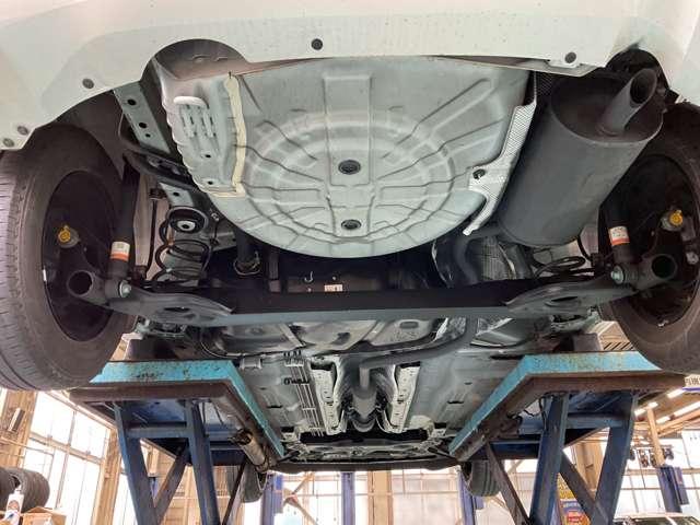 �����i�}�t���[���j�̂��ʐ^�ł����@�����̎K�~�߂Ƌ��ɁA�N�P��̎{�H�ڈ��̃}�t���[�h�K�Ŗ��N�����e�i���X����ƒ��������܂��i�O�n�O�j