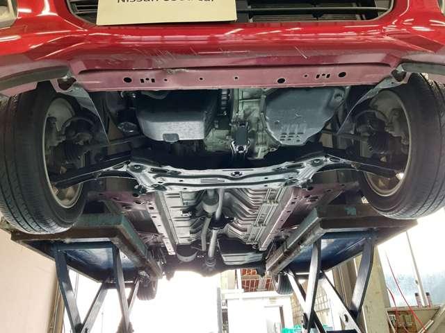 �����i�t�����g���j�̂��ʐ^�ł���